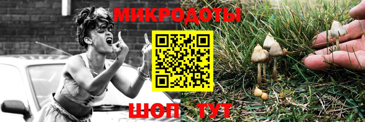 Псилоцибиновые грибы MAGIC MUSHROOMS  Галлюциногенные грибы Cubensis  Чернушка  Вход с VPN 