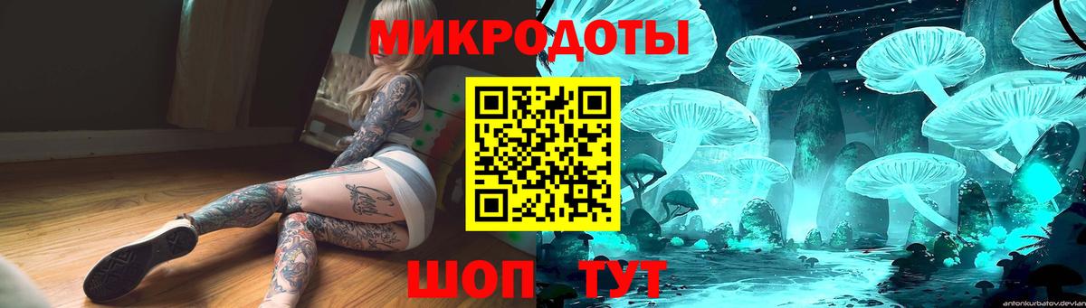 Галлюциногенные грибы мицелий Чернушка
